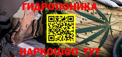 прущие крисы Северобайкальск