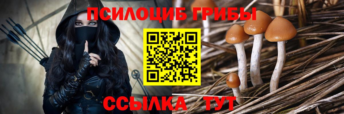 Сертолово  Галлюциногенные грибы Cubensis  Вход с VPN 